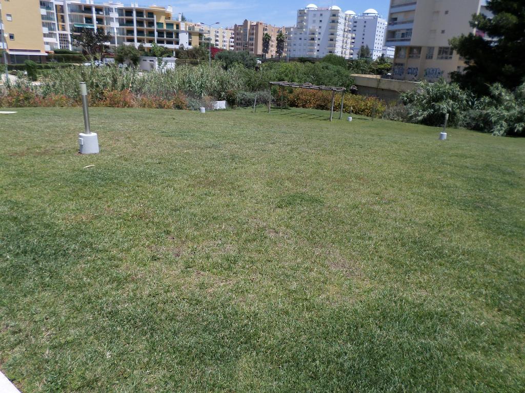 Rocha Tower By Beach Rentals Extérieur photo