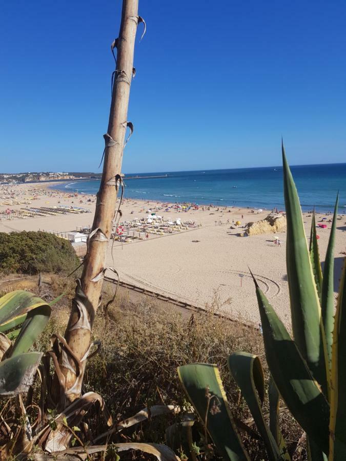 Rocha Tower By Beach Rentals Extérieur photo